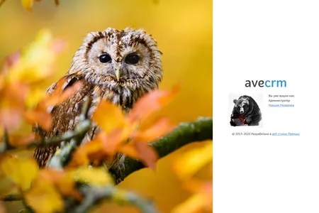 Обзор обновления aveCRM 5.1