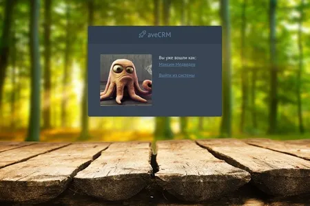 Обзор обновления aveCRM 4.1