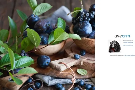 Обзор обновления aveCRM 4.6