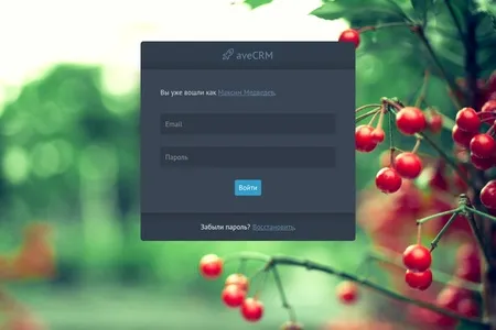 Обзор обновления aveCRM в версии 3.19